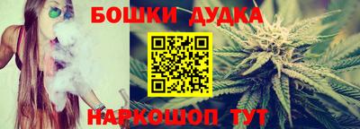 прущие крисы Будённовск